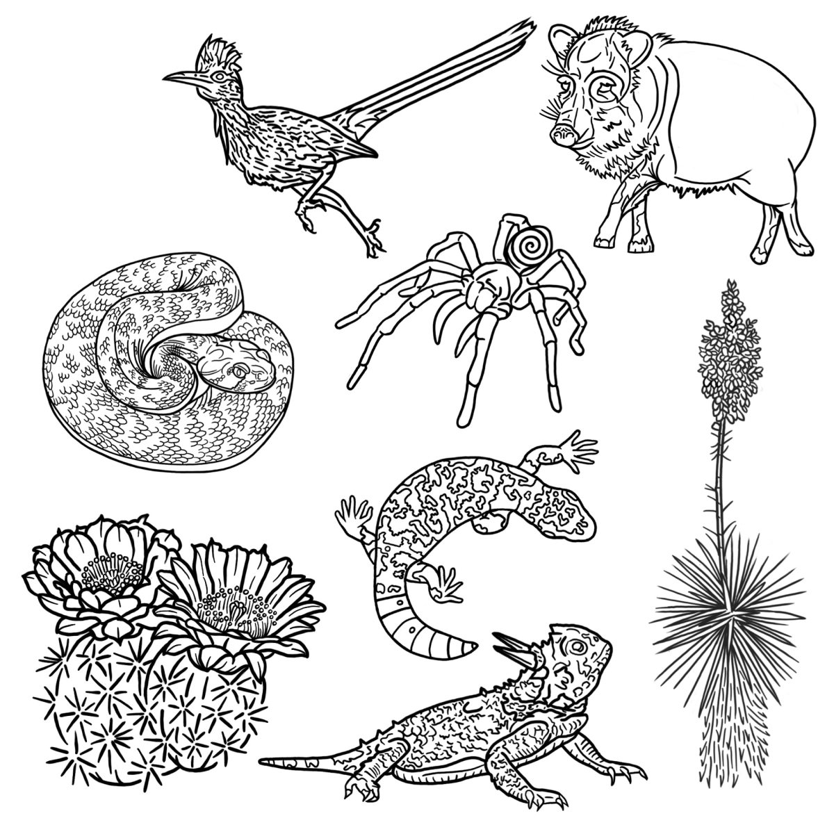 Sonoran desert tattoo flash sheet